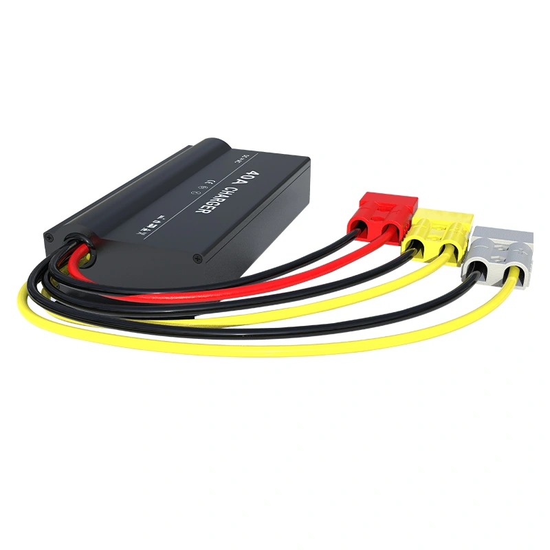 DC NAAR DC slimme oplader 12v 25A DCDC1240B